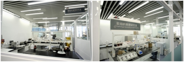 上海技術(shù)服務(wù)有限公司 專(zhuān)業(yè)驅(qū)動(dòng)，智領(lǐng)未來(lái)